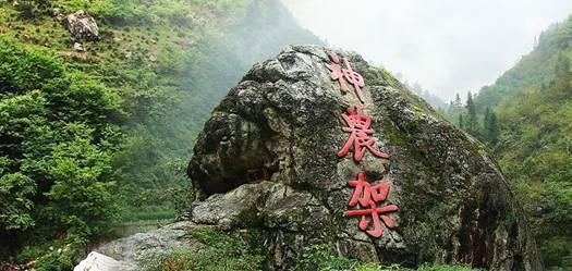 重组反噬业绩 动力新科陷亏损泥潭